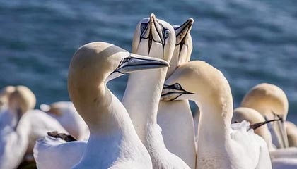 九游娱乐app下载-鲁尔区德比迎来高能比赛,鲁尔区德比体育市场化