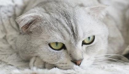 九游娱乐app下载-鲁尔区德比迎来高能比赛，鲁尔区德比体育市场化