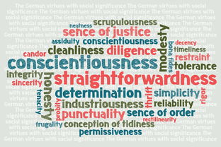 九游电脑版-中小学体育师资现状调查与专业发展建议,中小学体育教师的专业素养