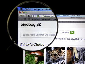 九游网游官网-体育新闻中心发布体育短视频传播效果白皮书，体育短视频成为平台和用户的新宠